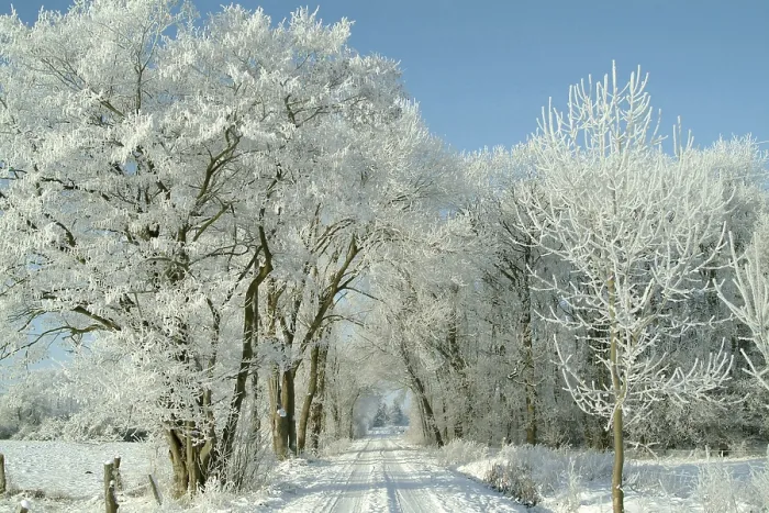 Gerahmter Druck : Winterlandschaft Gerahmter Druck : Winterlandschaft