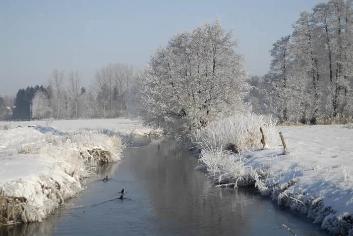 Gerahmter Druck : Winterlandschaft Gerahmter Druck : Winterlandschaft