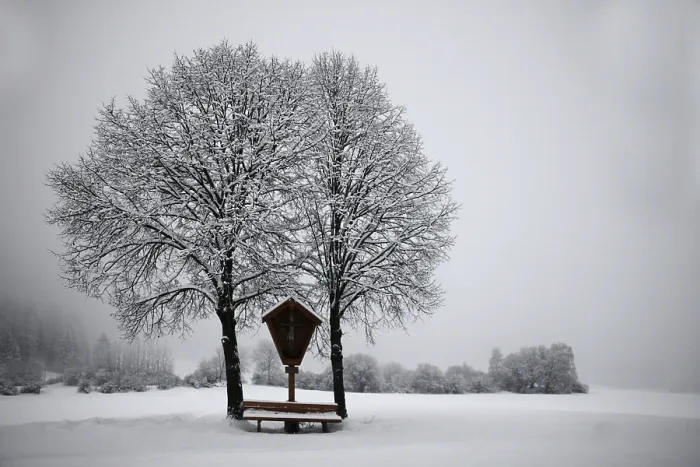 Gerahmter Druck : Winterlandschaft Gerahmter Druck : Winterlandschaft