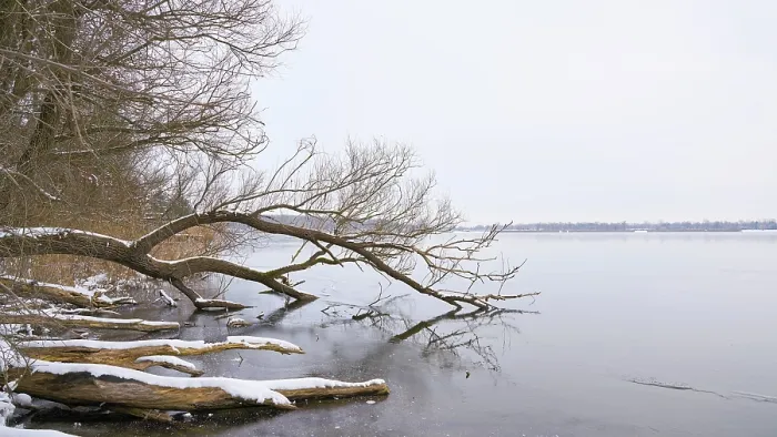 Gerahmter Druck : Winterlandschaft mit B.