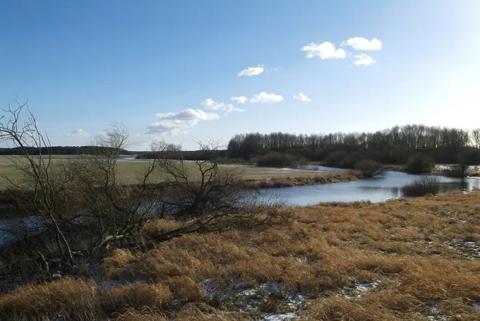 Gerahmter Druck : Winterlandschaft an der Elbe, Hitzacker. Gerahmter Druck : Winterlandschaft an der Elbe, Hitzacker.
