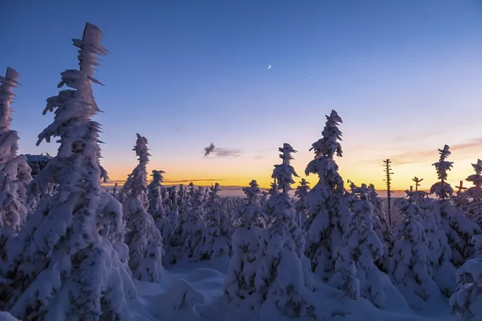 Gerahmter Druck : Winterlandschaft bei Abendlicht. Gerahmter Druck : Winterlandschaft bei Abendlicht.