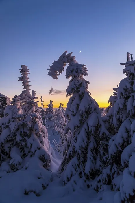 Gerahmter Druck : Winterlandschaft am Abendlicht. Gerahmter Druck : Winterlandschaft am Abendlicht.