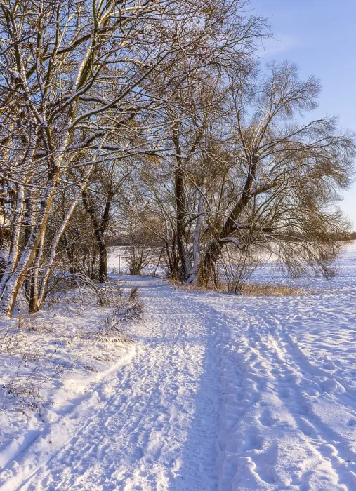 Gerahmter Druck : Winterlandschaft, Felder und Felder in Berlin-Lubars. Gerahmter Druck : Winterlandschaft, Felder und Felder in Berlin-Lubars.