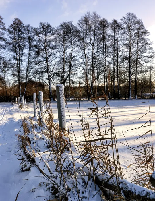 Gerahmter Druck : Winterlandschaft, Felder und Felder in Berlin-Lubars. Gerahmter Druck : Winterlandschaft, Felder und Felder in Berlin-Lubars.