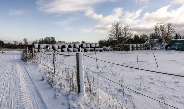 Gerahmter Druck : Winterlandschaft, Felder und Felder in Berlin-Lubars. Gerahmter Druck : Winterlandschaft, Felder und Felder in Berlin-Lubars.