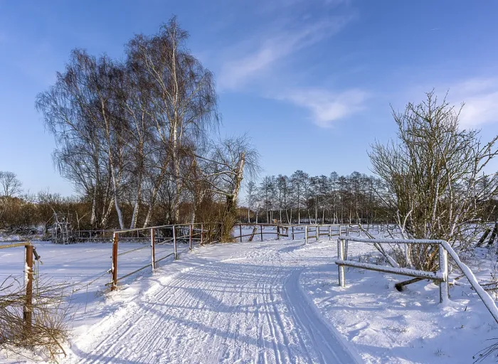 Gerahmter Druck : Winterlandschaft, Felder und Felder in Berlin-Lubars. Gerahmter Druck : Winterlandschaft, Felder und Felder in Berlin-Lubars.