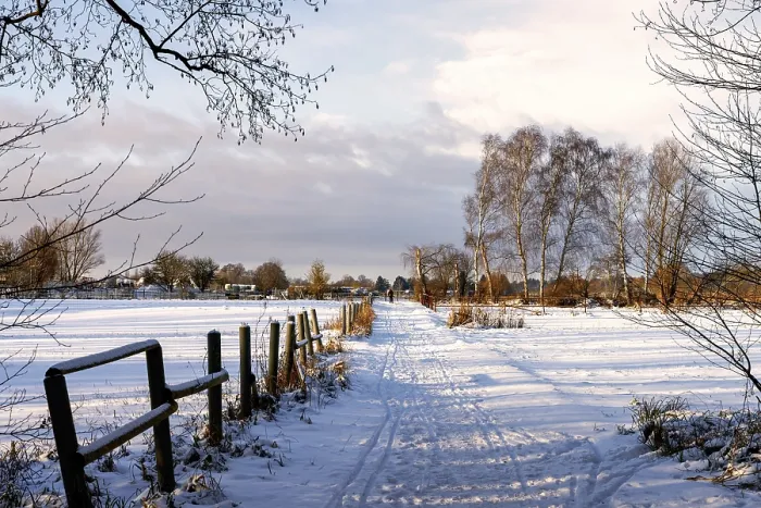 Gerahmter Druck : Winterlandschaft, Felder und Felder in Berlin-Lubars. Gerahmter Druck : Winterlandschaft, Felder und Felder in Berlin-Lubars.
