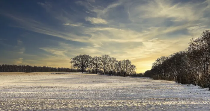 Gerahmter Druck : Winterlandschaft, Felder und Felder in Berlin Lubars. Gerahmter Druck : Winterlandschaft, Felder und Felder in Berlin Lubars.