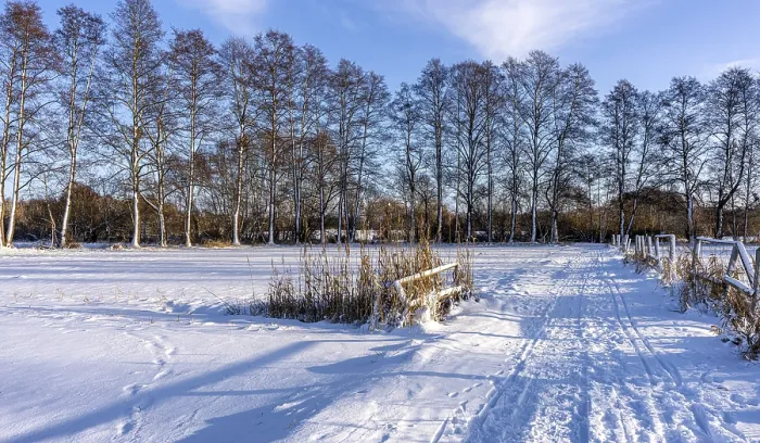 Gerahmter Druck : Winterlandschaft, Felder und Felder in Berlin-Lubars. Gerahmter Druck : Winterlandschaft, Felder und Felder in Berlin-Lubars.