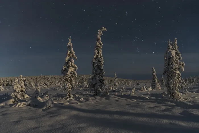 Gerahmter Druck : Winterlandschaft im Mondlicht. Gerahmter Druck : Winterlandschaft im Mondlicht.