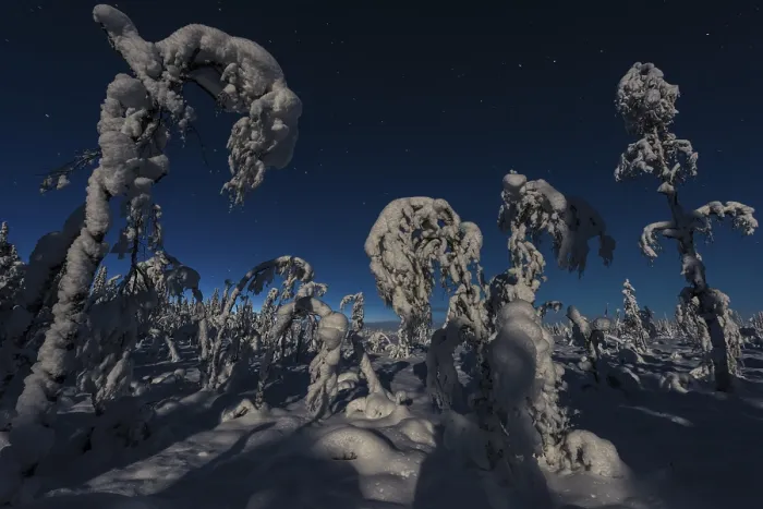 Gerahmter Druck : Winterlandschaft im Mondlicht. Gerahmter Druck : Winterlandschaft im Mondlicht.