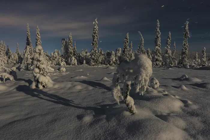 Gerahmter Druck : Winterlandschaft im Mondlicht. Gerahmter Druck : Winterlandschaft im Mondlicht.