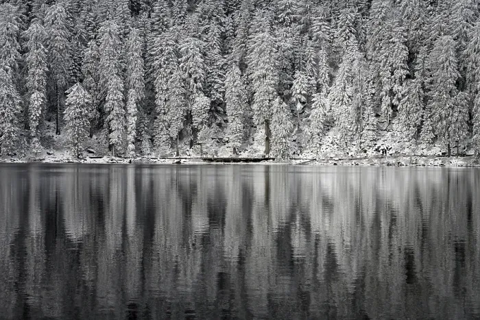 Gerahmter Druck : Winterlandschaft am Mummelsee, Reflexion des Waldes. Gerahmter Druck : Winterlandschaft am Mummelsee, Reflexion des Waldes.