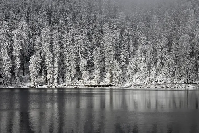 Gerahmter Druck : Winterlandschaft am Mummelsee, Spiegelung des Waldes Gerahmter Druck : Winterlandschaft am Mummelsee, Spiegelung des Waldes
