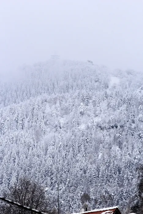 Gerahmter Druck : Winterlandschaft, Blick auf die Lausche. Gerahmter Druck : Winterlandschaft, Blick auf die Lausche.