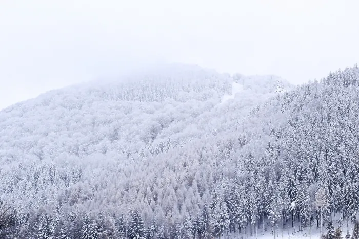 Gerahmter Druck : Winterlandschaft mit Blick auf den Lausche in der Oberlausitz, Sachsen, Deutschland Gerahmter Druck : Winterlandschaft mit Blick auf den Lausche in der Oberlausitz, Sachsen, Deutschland