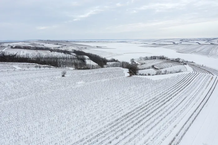 Gerahmter Druck : Winterlandschaft mit Weinbergen und Äckern. Gerahmter Druck : Winterlandschaft mit Weinbergen und Äckern.