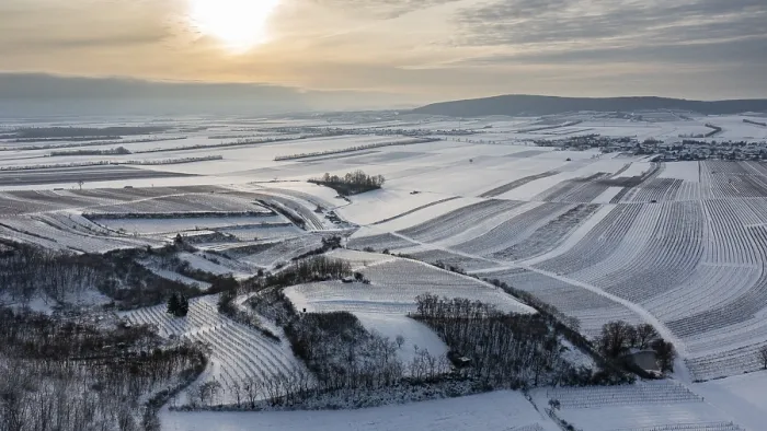 Gerahmter Druck : Winterlandschaft mit Weinbergen und Feldern. Gerahmter Druck : Winterlandschaft mit Weinbergen und Feldern.