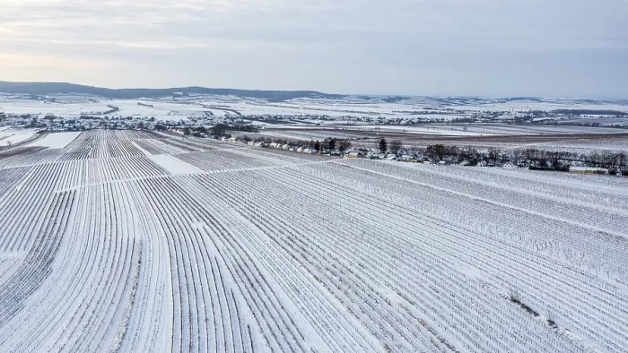 Gerahmter Druck : Winterlandschaft mit Weinbergen und Feldern. Gerahmter Druck : Winterlandschaft mit Weinbergen und Feldern.