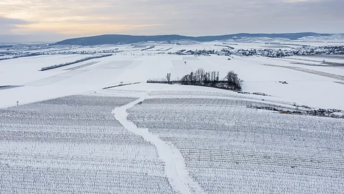 Gerahmter Druck : Winterlandschaft mit Weinbergen und Feldern. Gerahmter Druck : Winterlandschaft mit Weinbergen und Feldern.