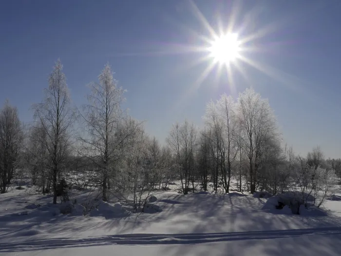 Gerahmter Druck : Winter in Lappland Gerahmter Druck : Winter in Lappland