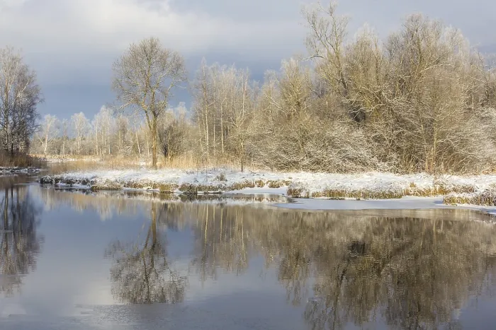 Gerahmter Druck : Winterparklandschaft mit Fluss. Gerahmter Druck : Winterparklandschaft mit Fluss.