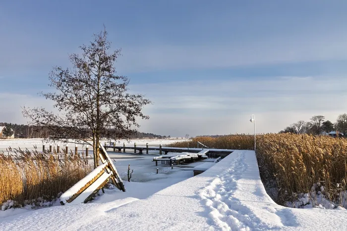 Gerahmter Druck : Winter auf der Prerower Strom mit Schnee. Gerahmter Druck : Winter auf der Prerower Strom mit Schnee.