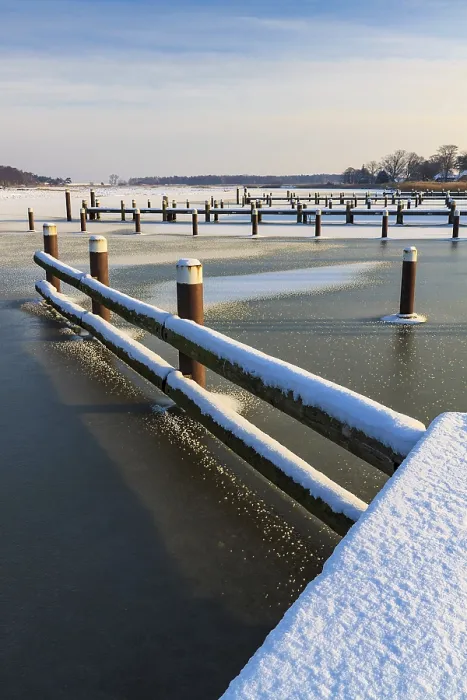 Gerahmter Druck : Winter auf der Prerower Strom mit Schnee. Gerahmter Druck : Winter auf der Prerower Strom mit Schnee.