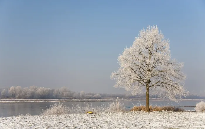 Gerahmter Druck : Winter am Rhein Gerahmter Druck : Winter am Rhein