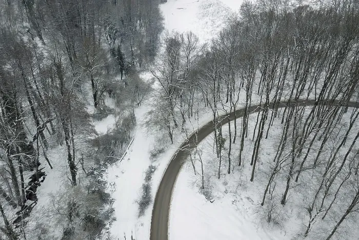 Gerahmter Druck : Winterstraße und Wald Gerahmter Druck : Winterstraße und Wald