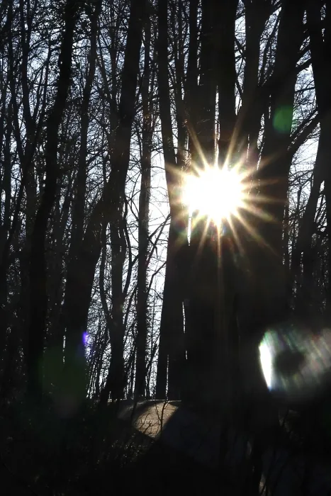 Gerahmter Druck : Winter-Sonne, Deutschland Gerahmter Druck : Winter-Sonne, Deutschland