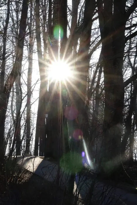Gerahmter Druck : Winterliche Sonne in Deutschland Gerahmter Druck : Winterliche Sonne in Deutschland