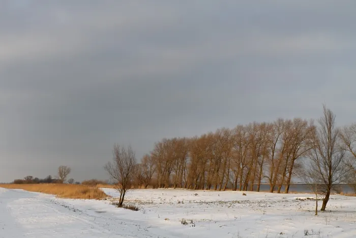 Gerahmter Druck : Winter auf der Weser, Strohauser Platte Gerahmter Druck : Winter auf der Weser, Strohauser Platte