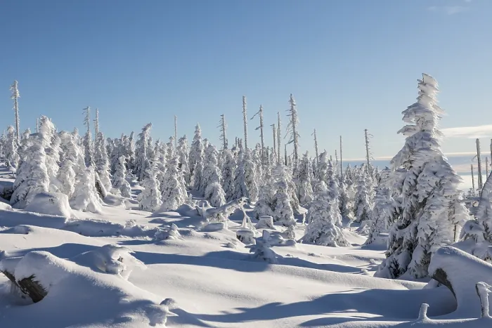 Gerahmter Druck : Winterlandschaft Gerahmter Druck : Winterlandschaft