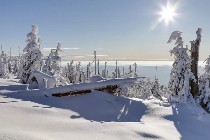 Gerahmter Druck : Winterlandschaft Gerahmter Druck : Winterlandschaft