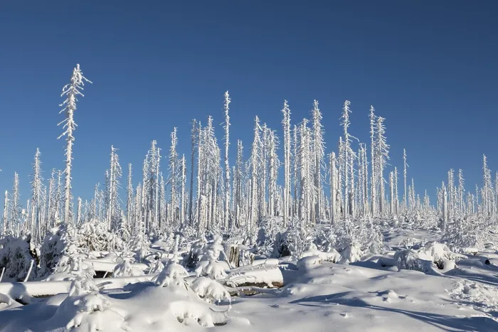 Gerahmter Druck : Winterlandschaft Gerahmter Druck : Winterlandschaft