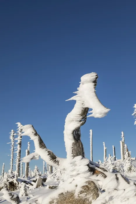Gerahmter Druck : Winterlandschaft