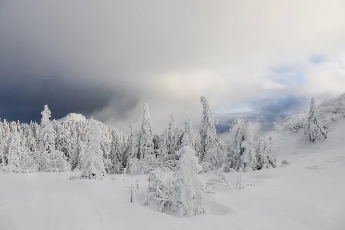 Gerahmter Druck : Winterlandschaft Gerahmter Druck : Winterlandschaft