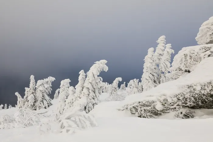 Gerahmter Druck : Winterlandschaft Gerahmter Druck : Winterlandschaft