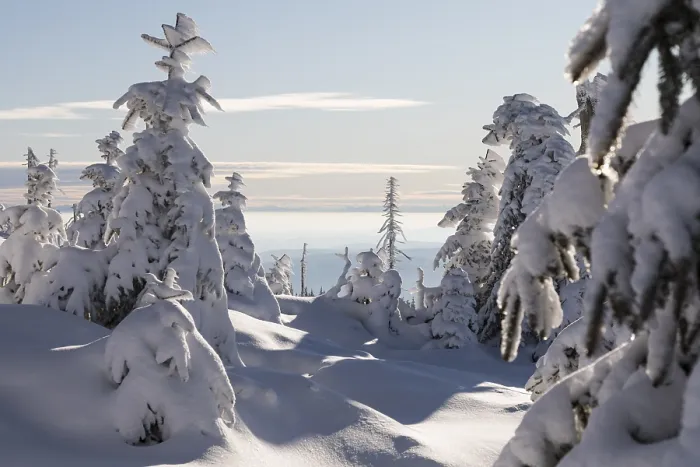 Gerahmter Druck : Winterlandschaft Gerahmter Druck : Winterlandschaft