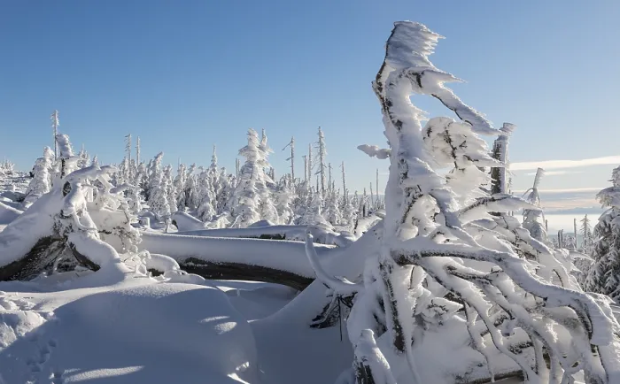 Gerahmter Druck : Winterlandschaft Gerahmter Druck : Winterlandschaft