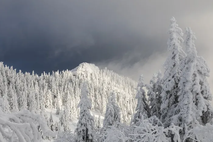Gerahmter Druck : Winterlandschaft Gerahmter Druck : Winterlandschaft