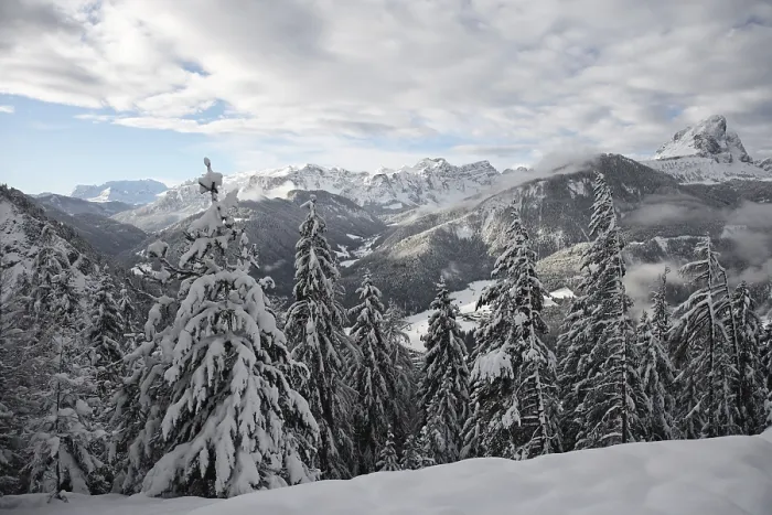 Gerahmter Druck : Winterly Gerahmter Druck : Winterly