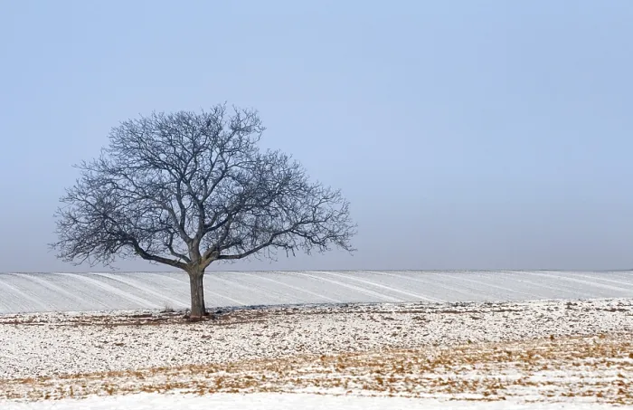 Gerahmter Druck : Wintertime Gerahmter Druck : Wintertime