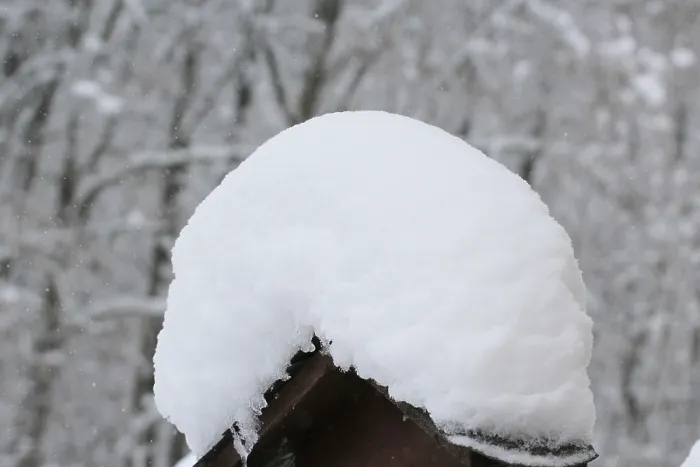 Gerahmter Druck : Winterzeit, Deutschland Gerahmter Druck : Winterzeit, Deutschland