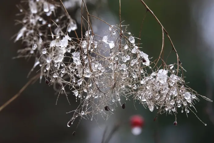 Gerahmter Druck : Winterzeit, Auftauen, Deutschland. Gerahmter Druck : Winterzeit, Auftauen, Deutschland.