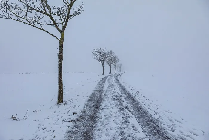 Gerahmter Druck : Winterlandschaft bei diffuser Beleuchtung in Deutschland. Gerahmter Druck : Winterlandschaft bei diffuser Beleuchtung in Deutschland.