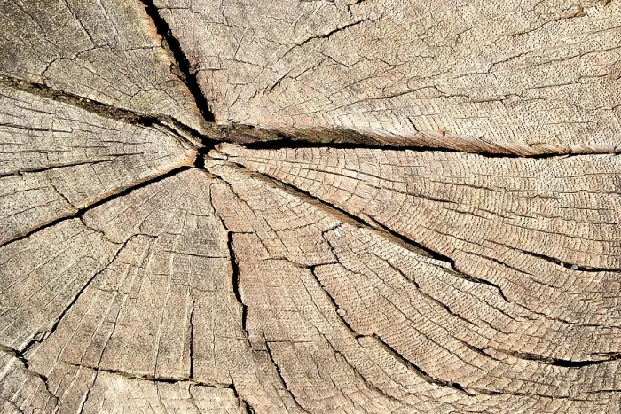 Gerahmter Druck : Holzkonstruktion Gerahmter Druck : Holzkonstruktion