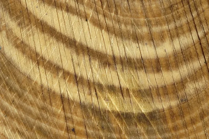 Gerahmter Druck : Holztextur Gerahmter Druck : Holztextur